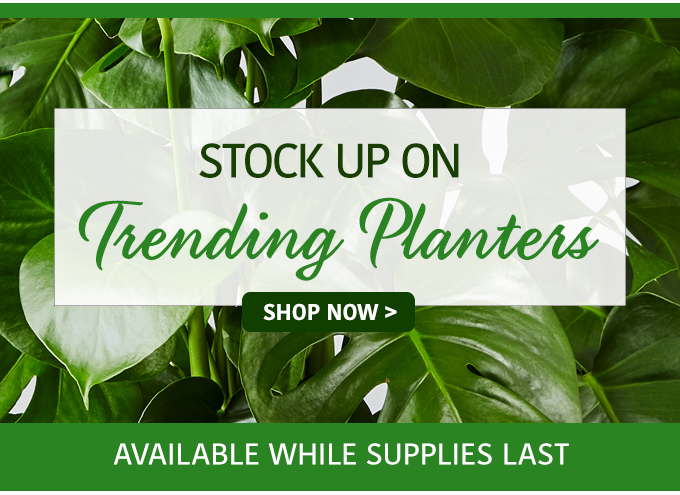 Stock Up On Trending Planters!